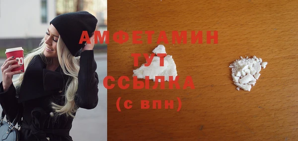 молекула духа Богородицк