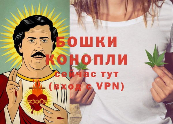 дмт Богданович