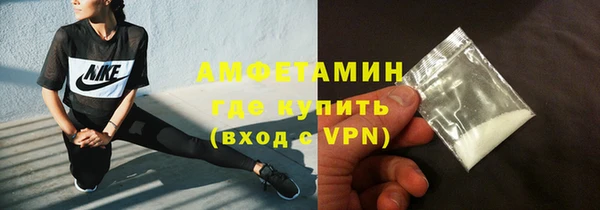 молекула духа Богородицк