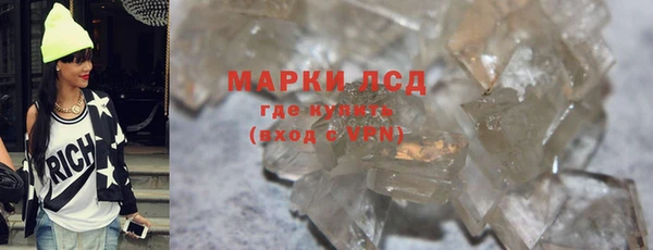 дмт Богданович