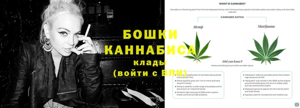 мет Бородино