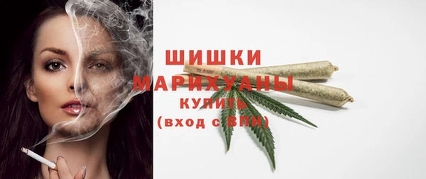 мет Бородино