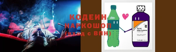 молекула духа Богородицк
