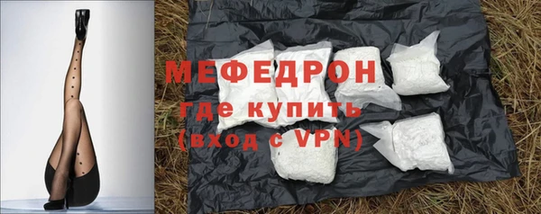 молекула духа Богородицк