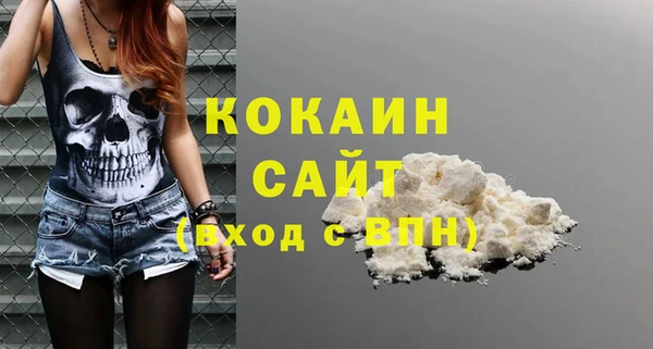 мет Бородино